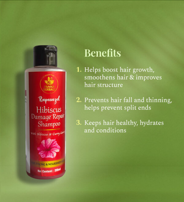 Hibiscus Shampoo - Image 4