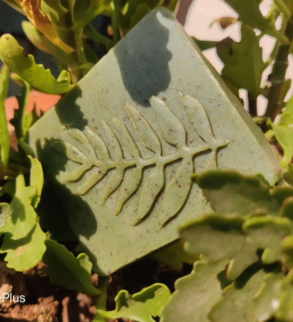Neem Moringa Soap - Image 2
